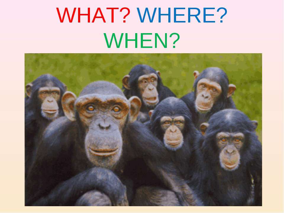 What? Where? When?