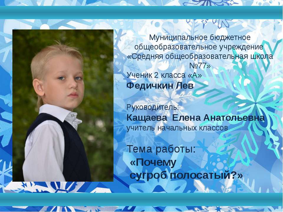 Снежные и каменные изваяния