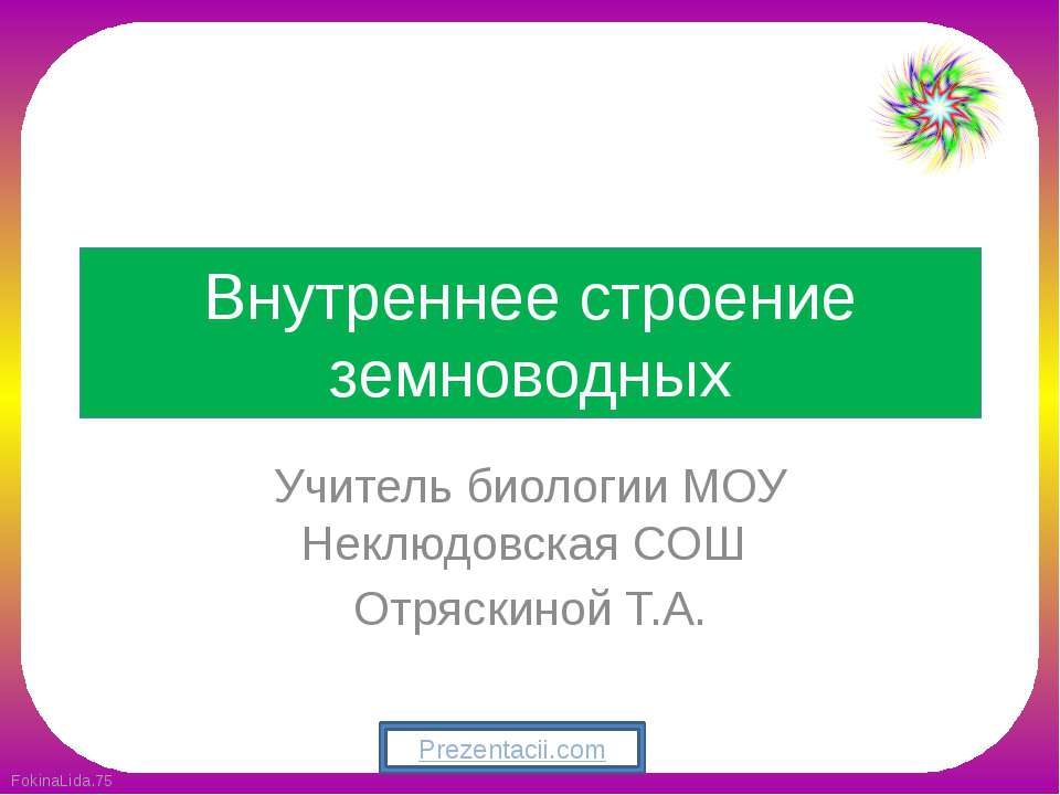 Внутреннее строение земноводных