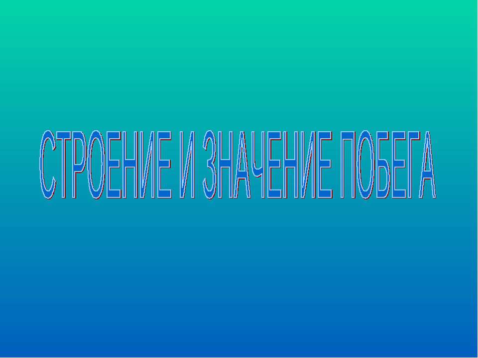 Строение и значение побега