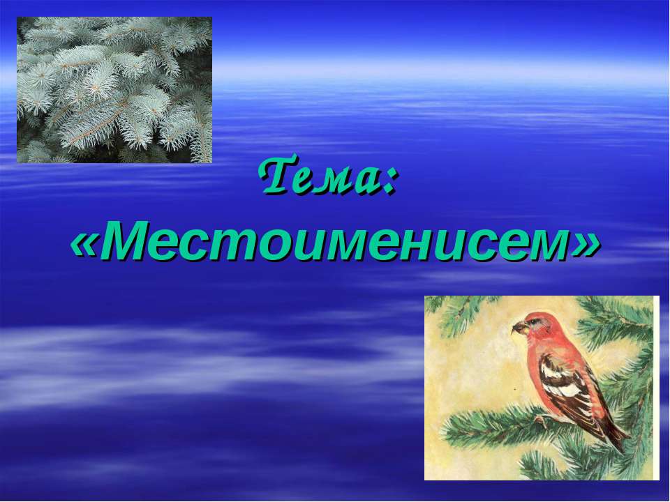Местоименисем