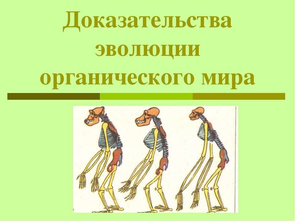 Доказательства эволюции органического мира