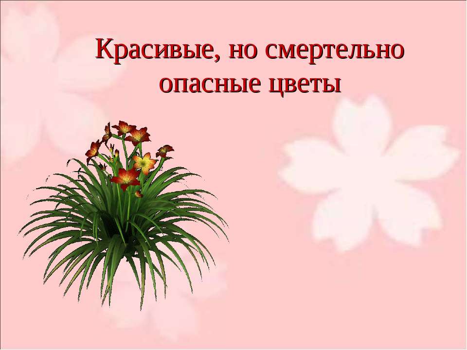Красивые, но смертельно опасные цветы