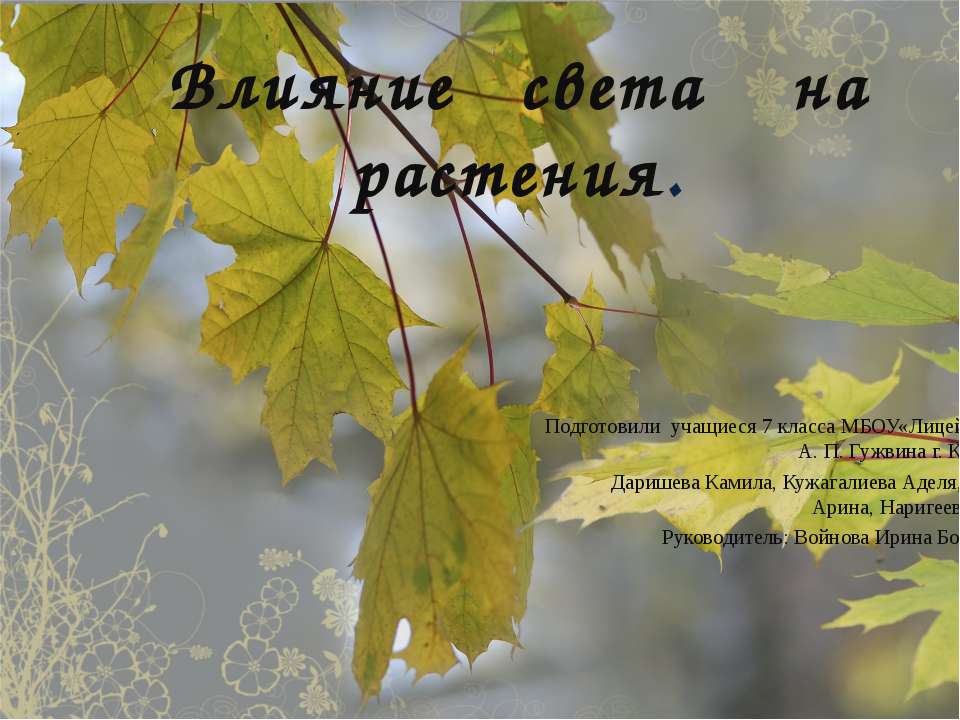 Влияние света на растения