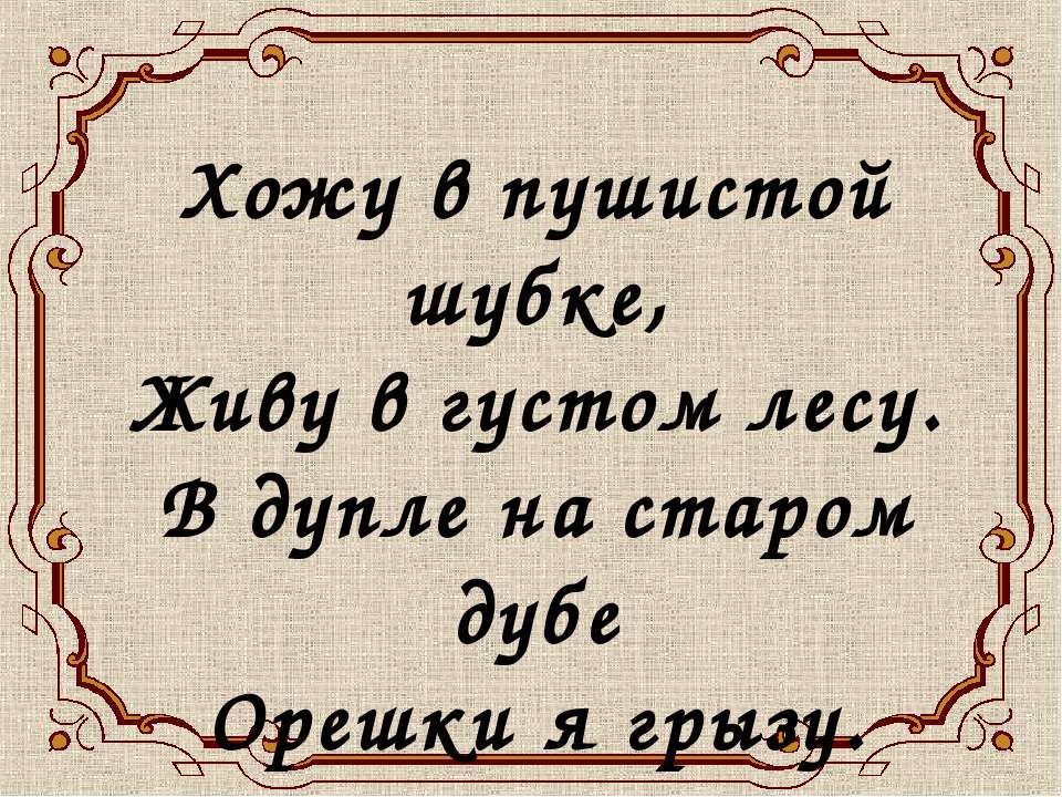 Белочка