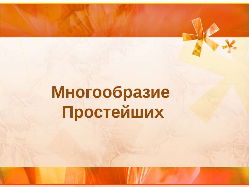 Многообразие Простейших