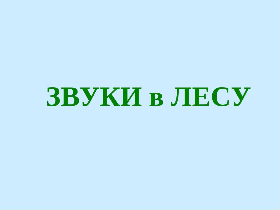 ЗВУКИ в ЛЕСУ