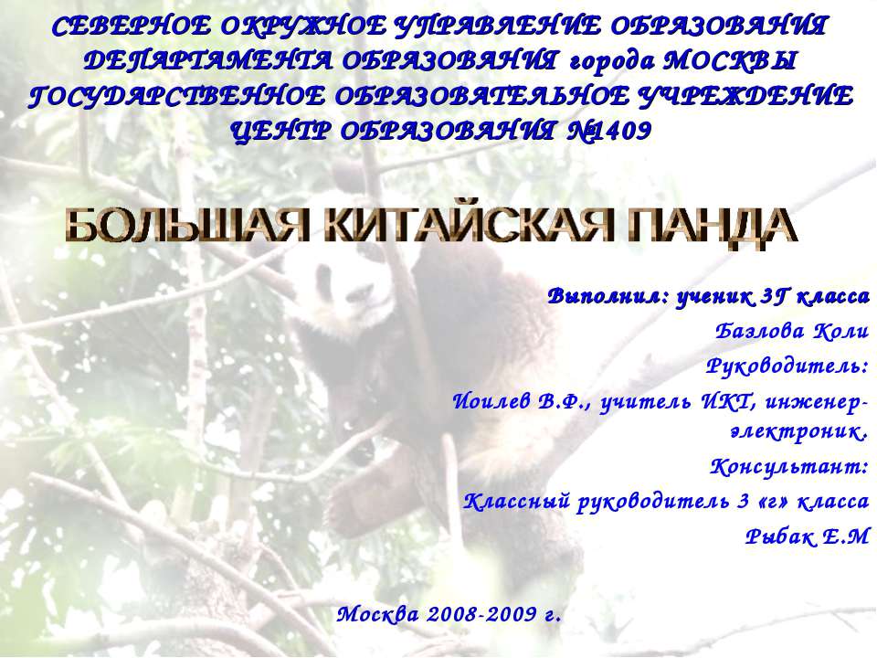 Большая китайская панда