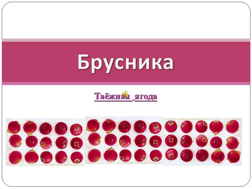 Брусника-таёжная ягода