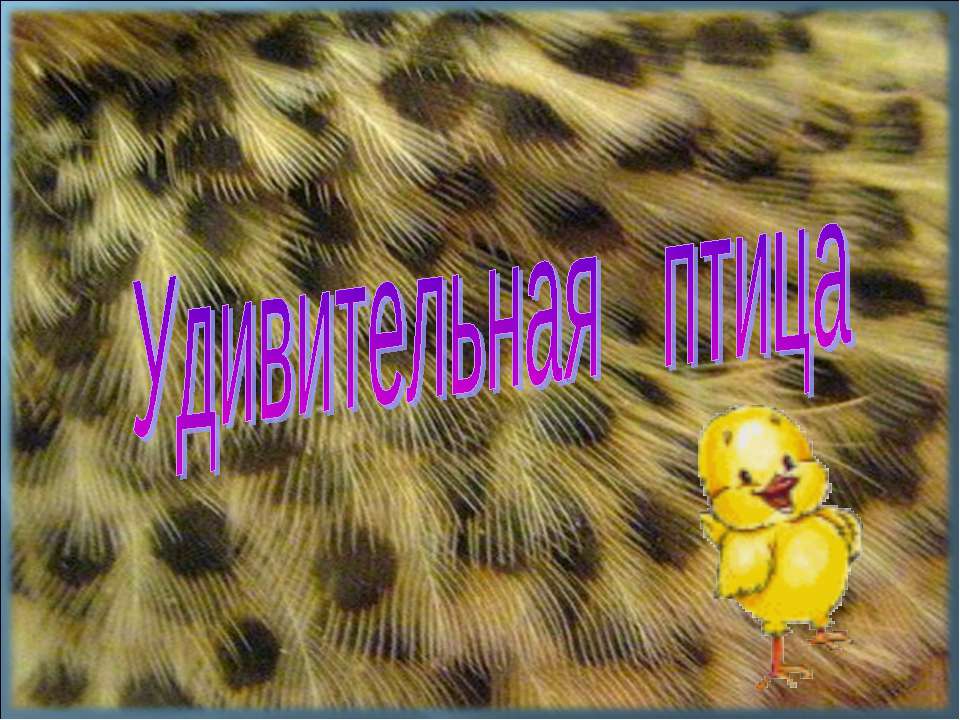 Удивительная птица
