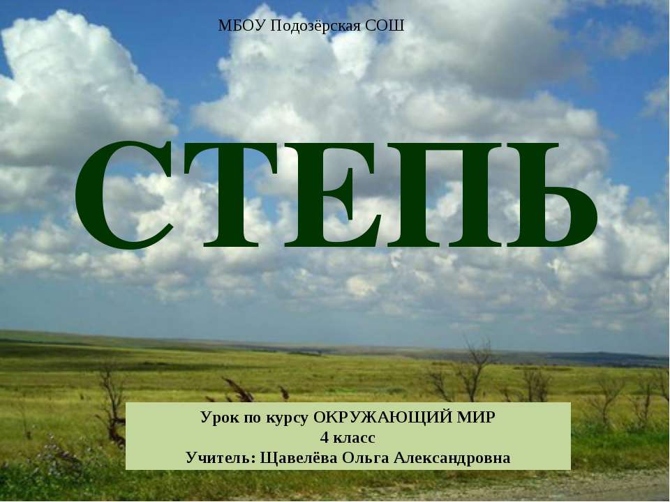 Степь (4 класс)