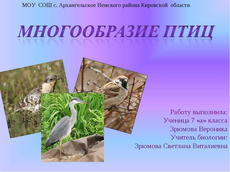 Многообразие птиц 7 класс