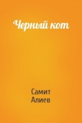 Черный кот