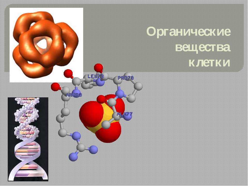Органические вещества клетки