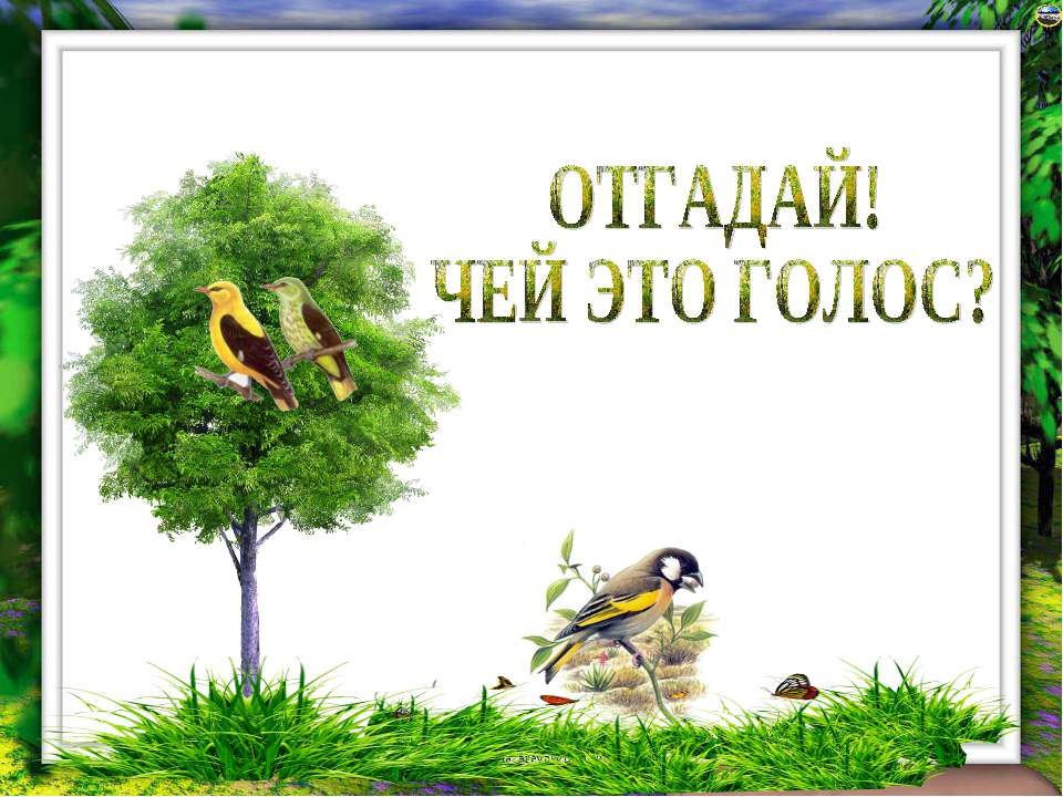Отгадай! Чей это голос?