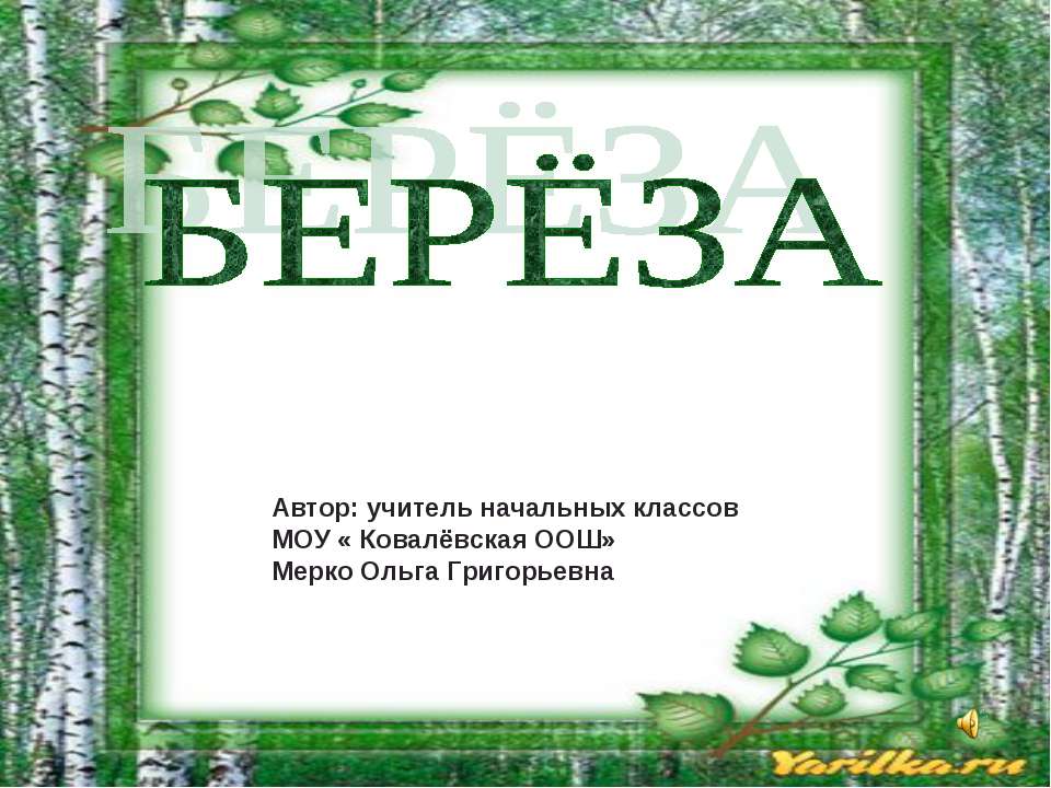 Берёза