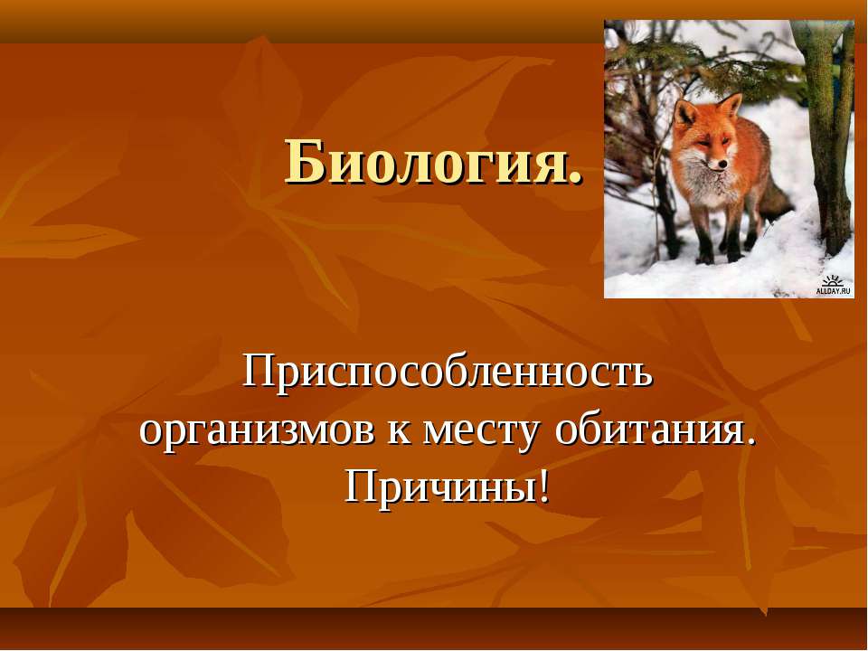 Приспособленность организмов к месту обитания. Причины