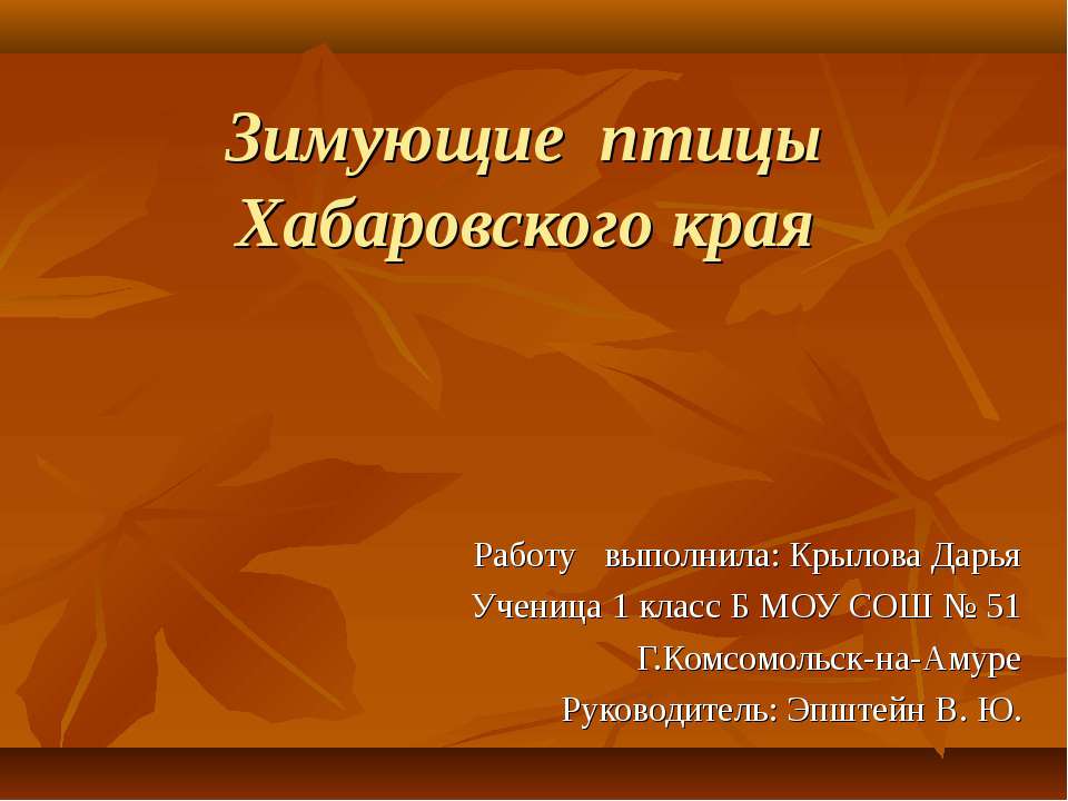 Зимующие птицы Хабаровского края (1 класс)