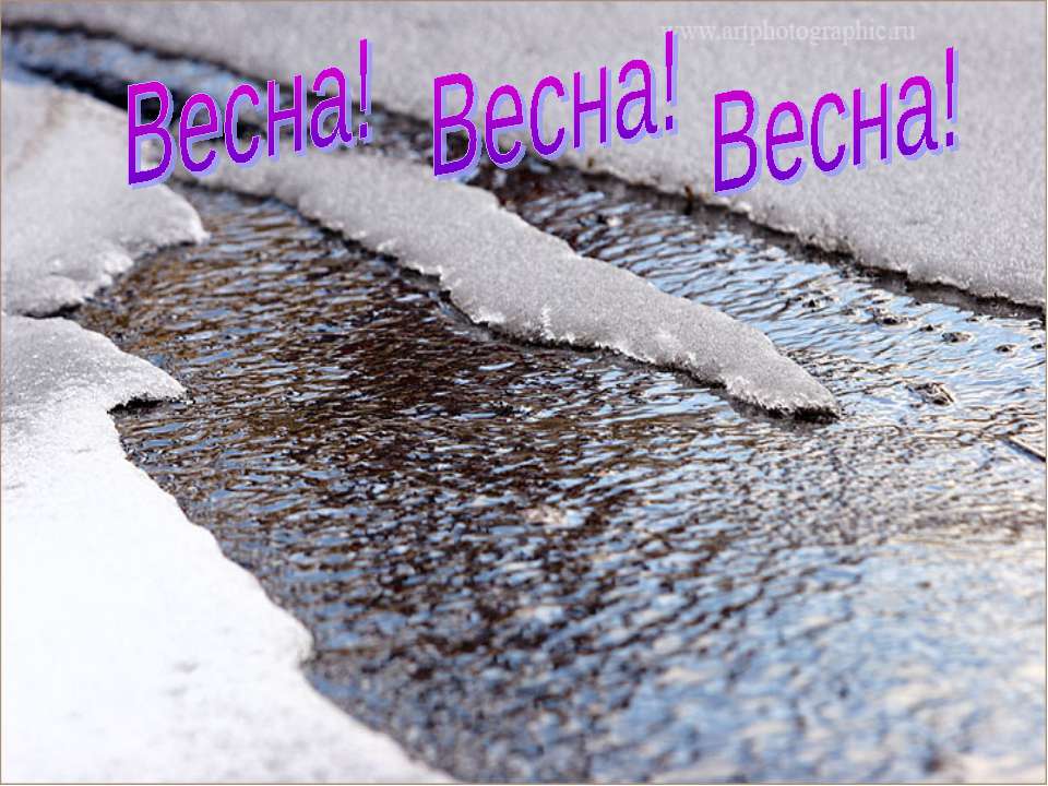 Изменение имён существительных по числам