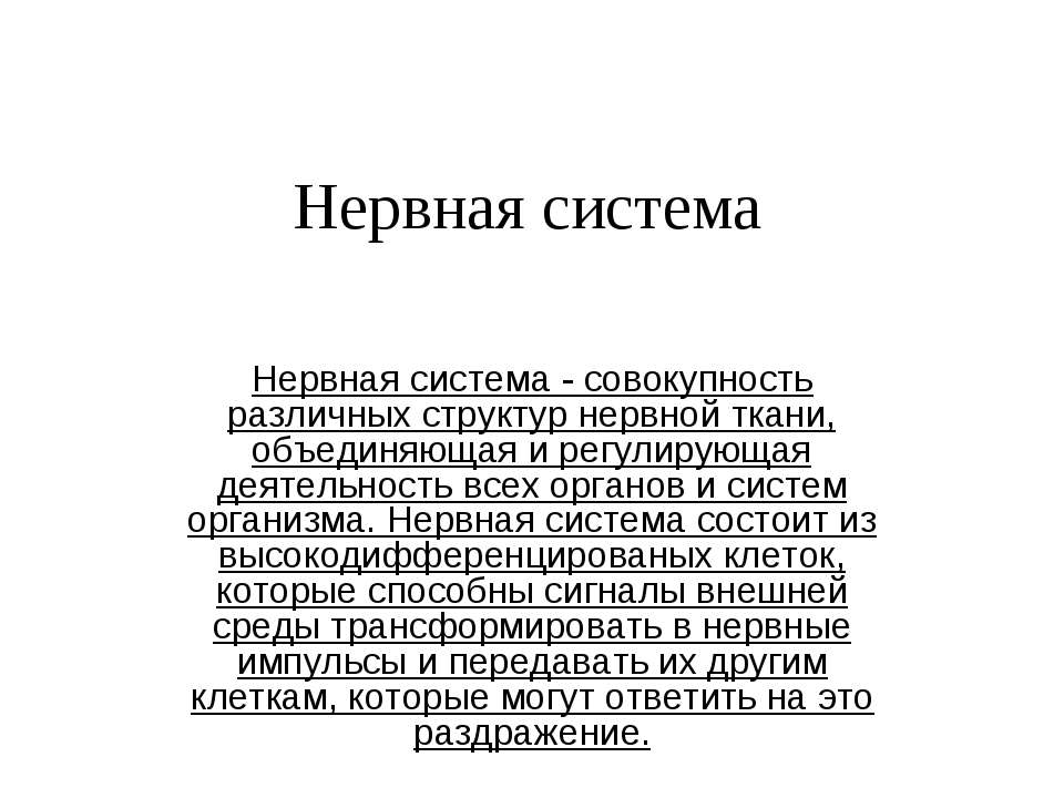 Нервная система