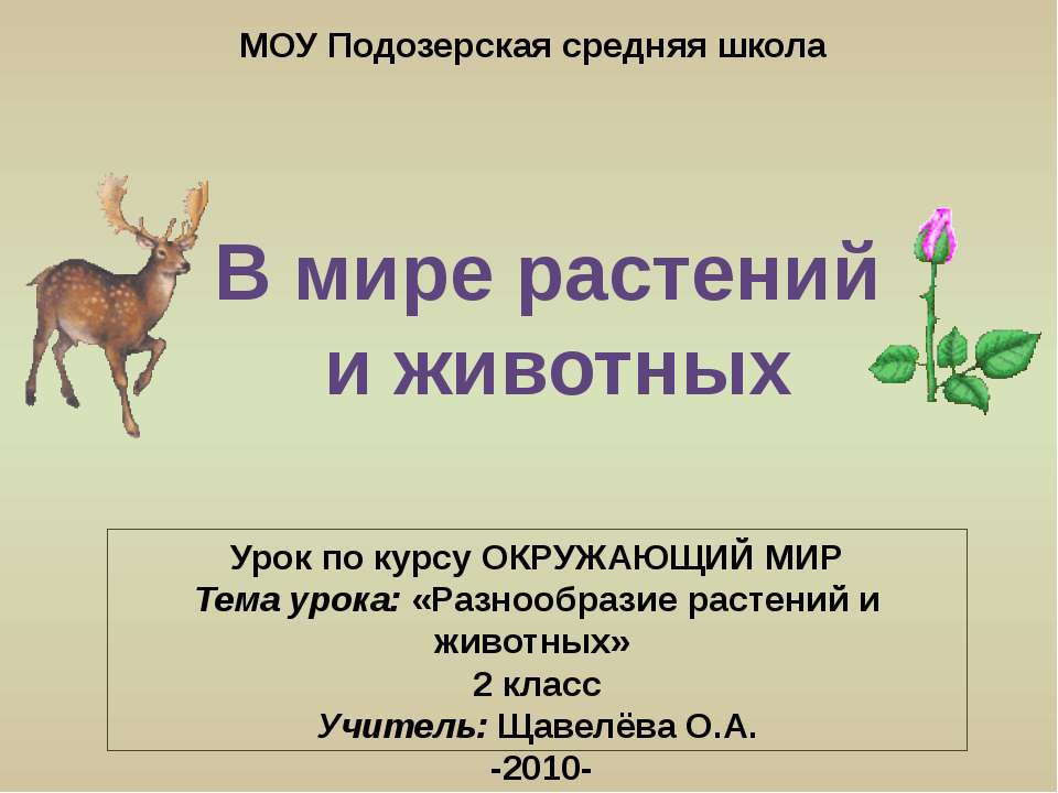 В мире растений и животных