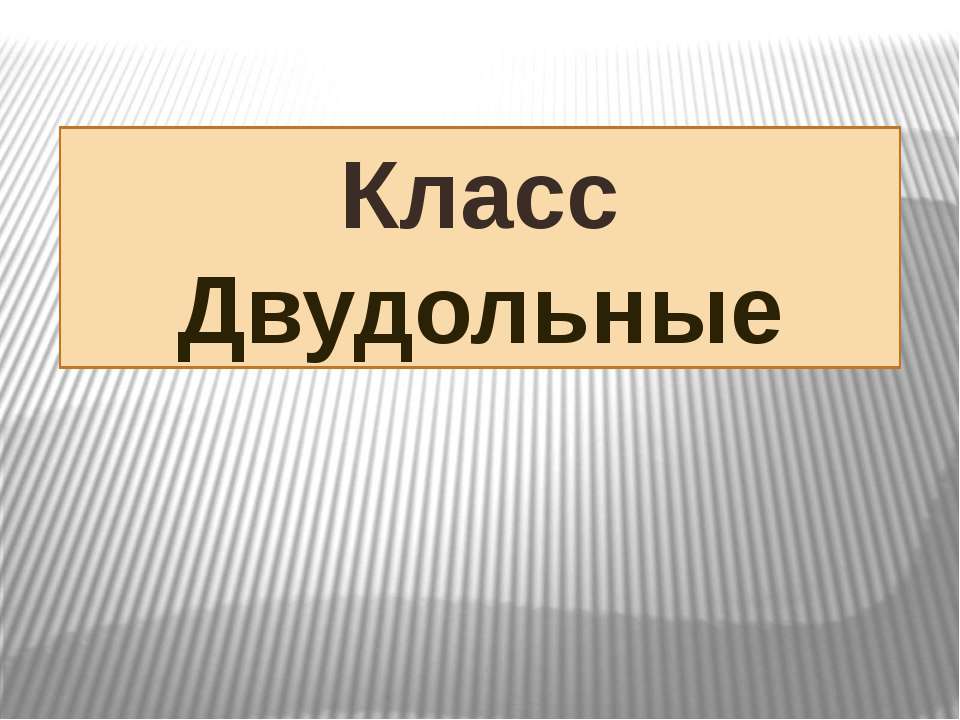 Класс Двудольные