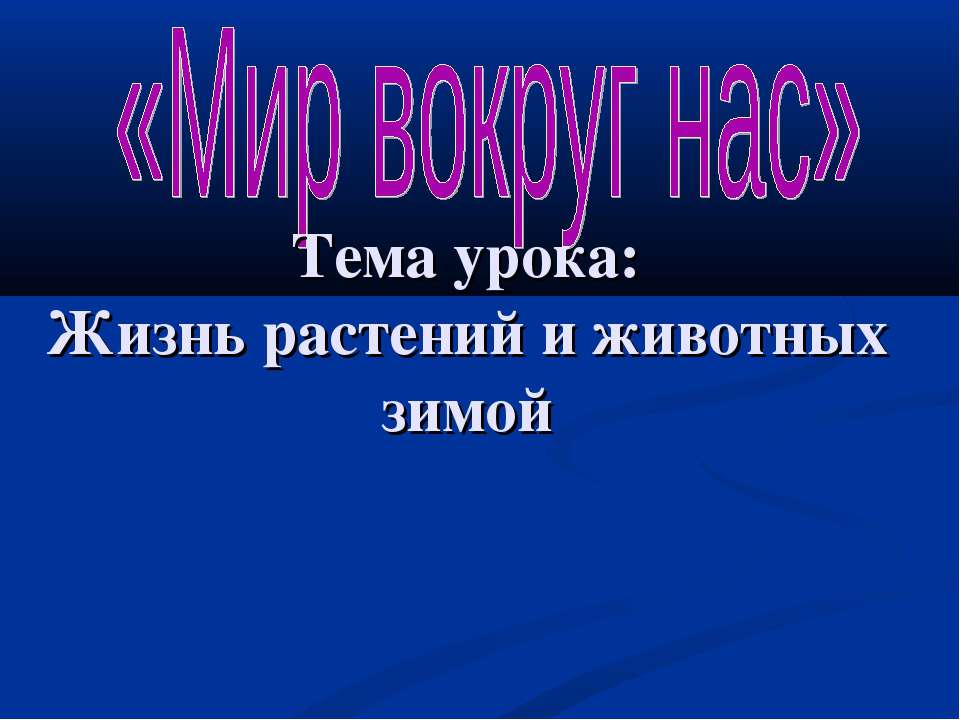Жизнь растений и животных зимой
