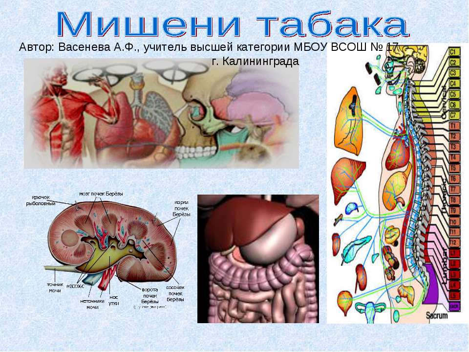 Мишени табака