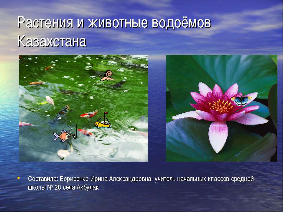 Растения и животные водоёмов Казахстана