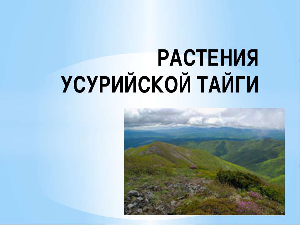 Растения Уссурийской Тайги