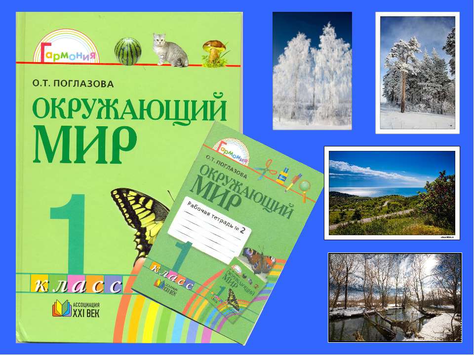 В лес по грибы