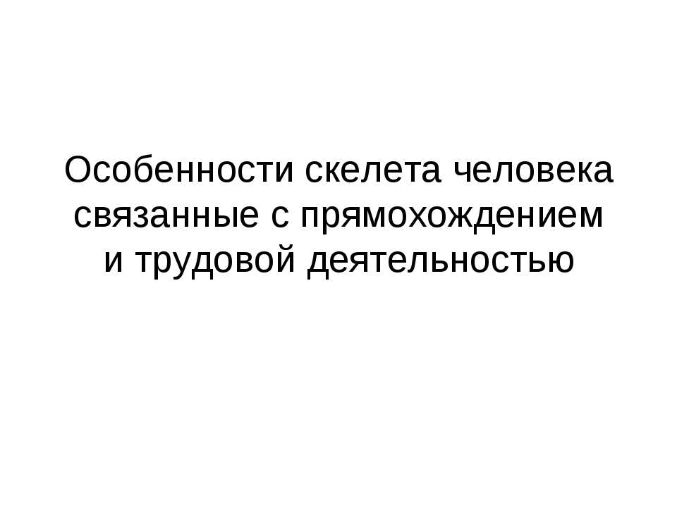 Особенности скелета человека связанные с прямохождением и трудовой деятельностью