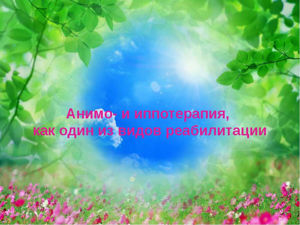Анимо - и иппотерапия, как один из видов реабилитации