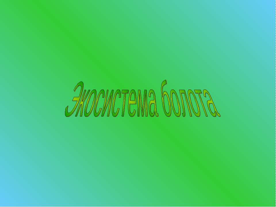Экосистема болота