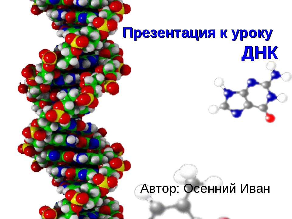 ДНК