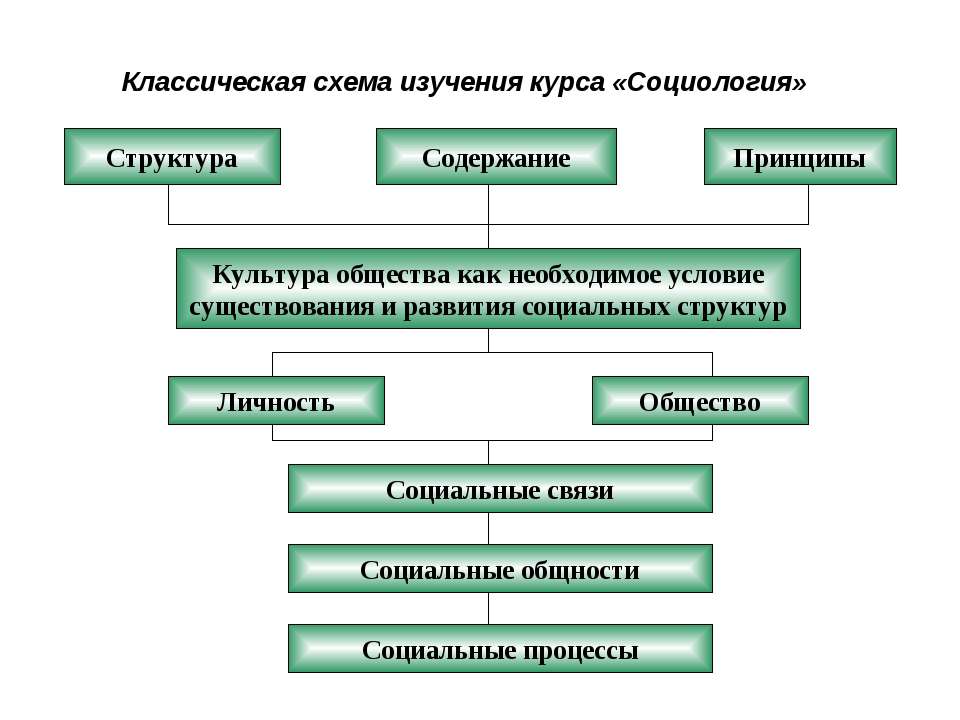 Классическая схема изучения курса «Социология»