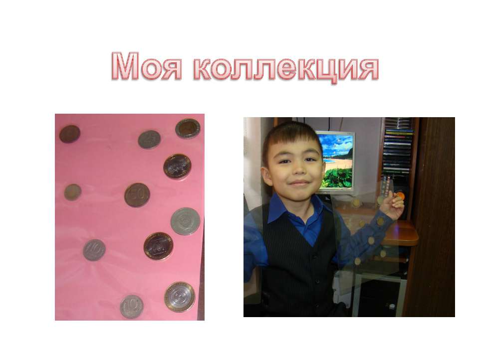 Моя коллекция