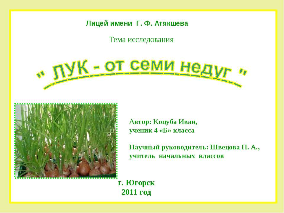 Лук от семи недуг