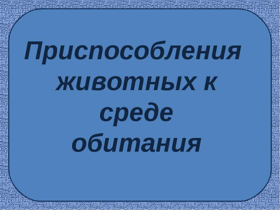 Приспособления животных к среде обитания