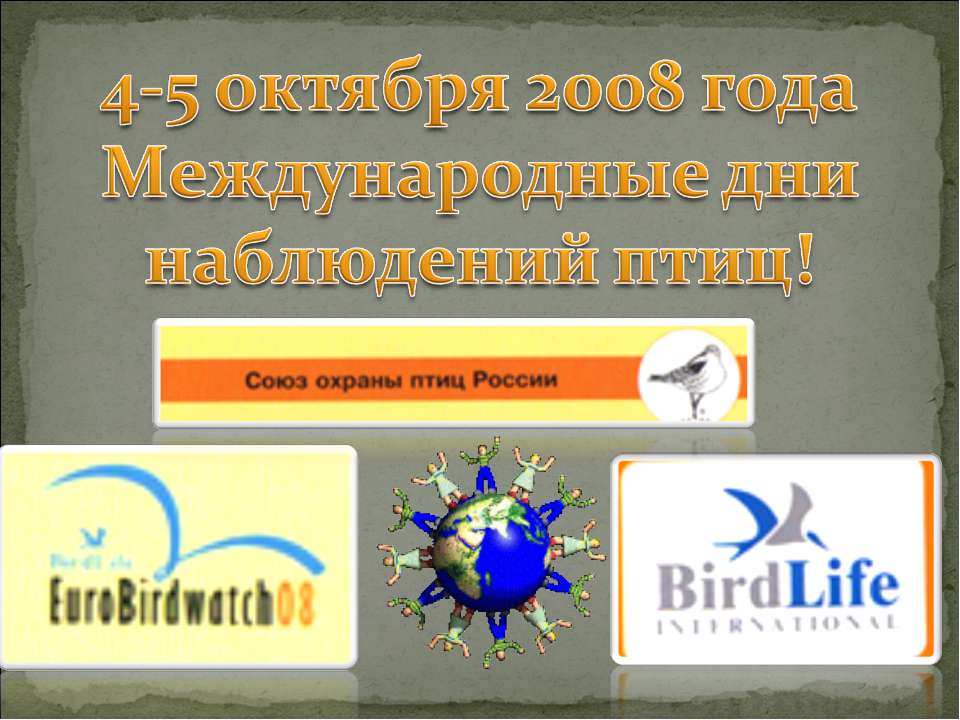 4-5 октября 2008 года Международные дни наблюдений птиц!