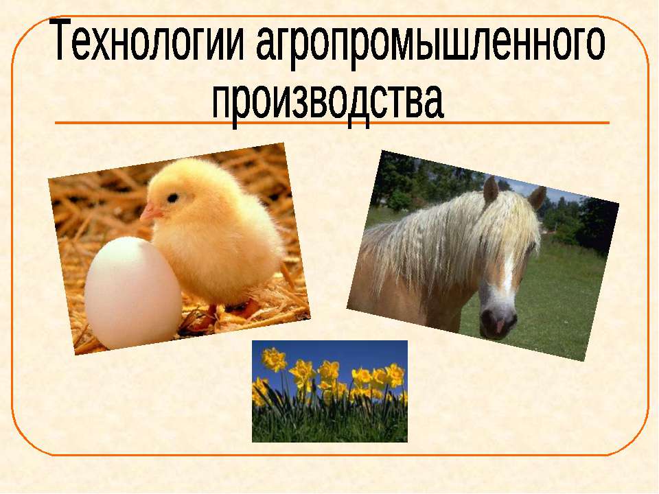 Технологии агропромышленного производства