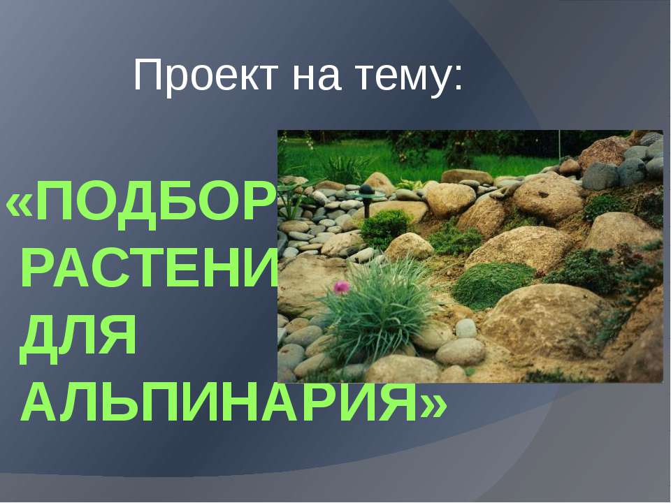 Подбор растений для Альпинария