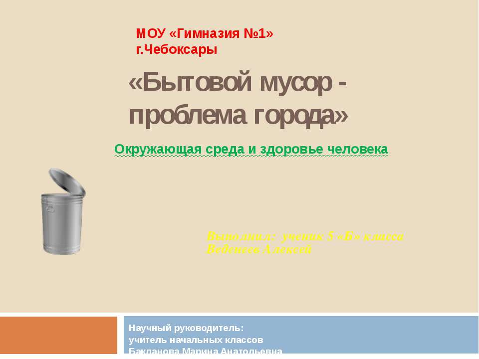 Бытовой мусор - проблема города