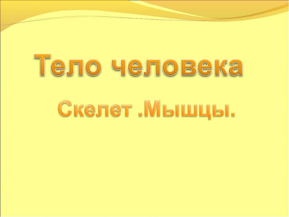Тело человека Скелет .Мышцы