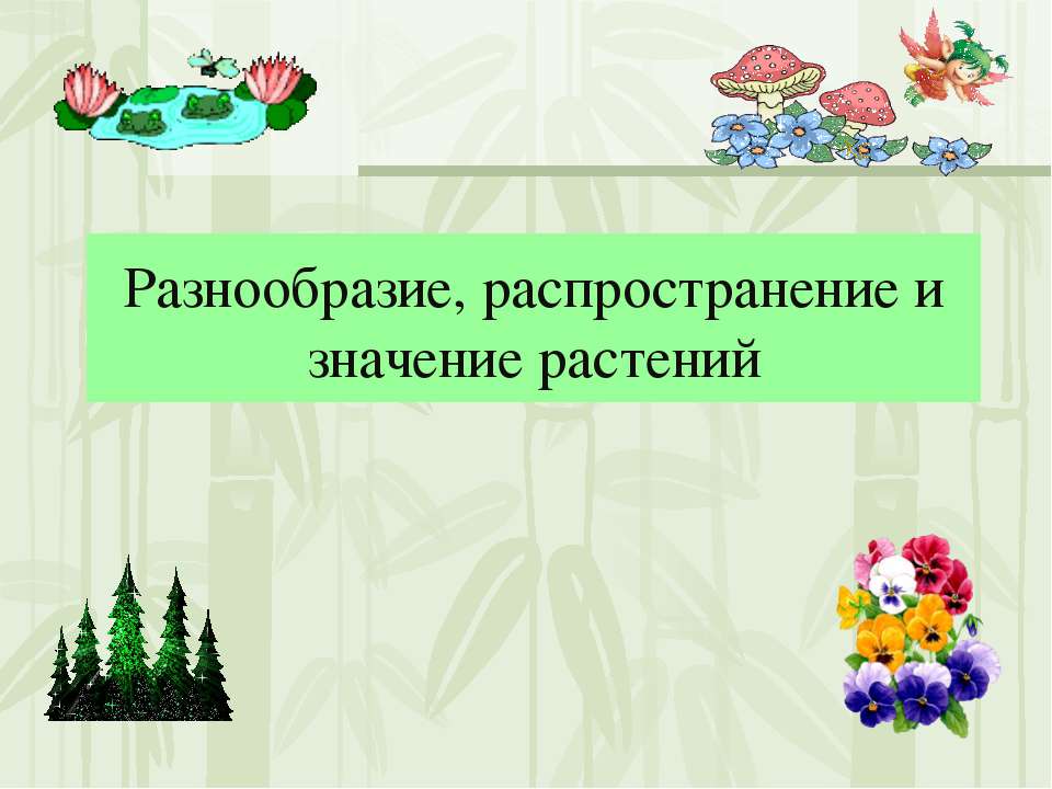 Разнообразие, распространение и значение растений