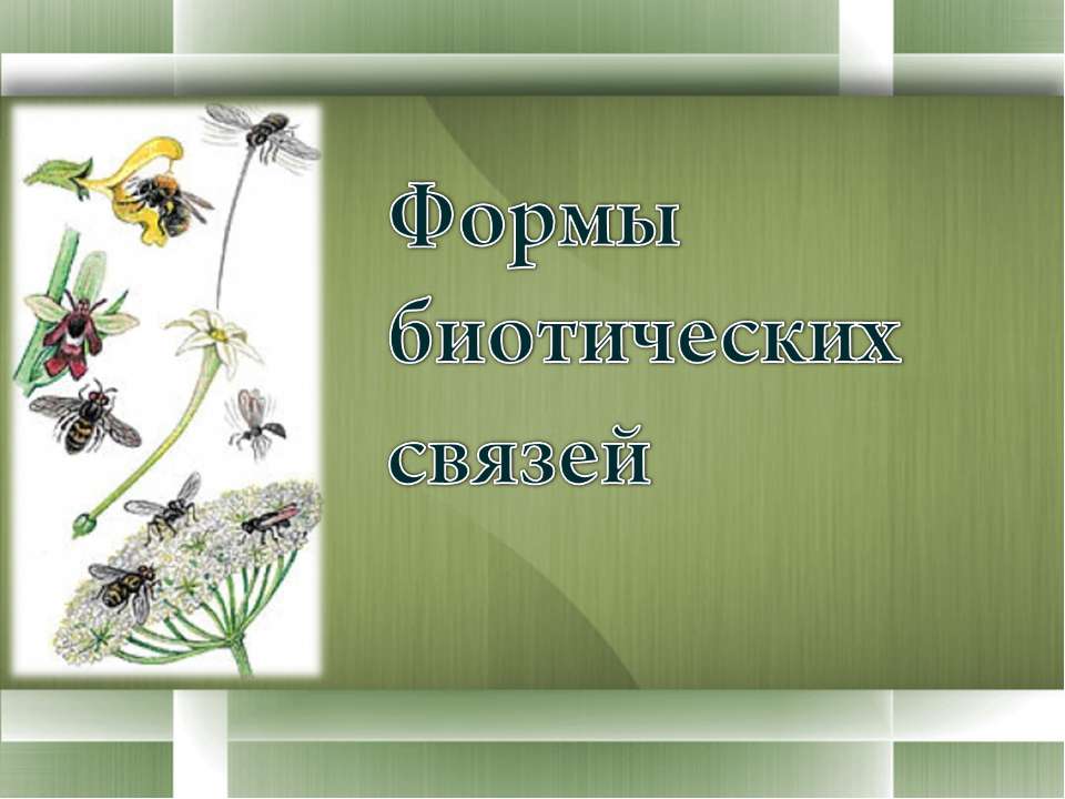 Формы биотических связей