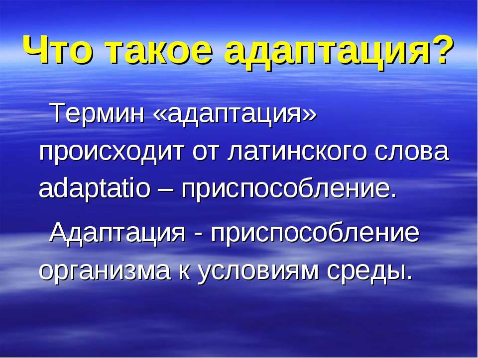 Что такое адаптация?
