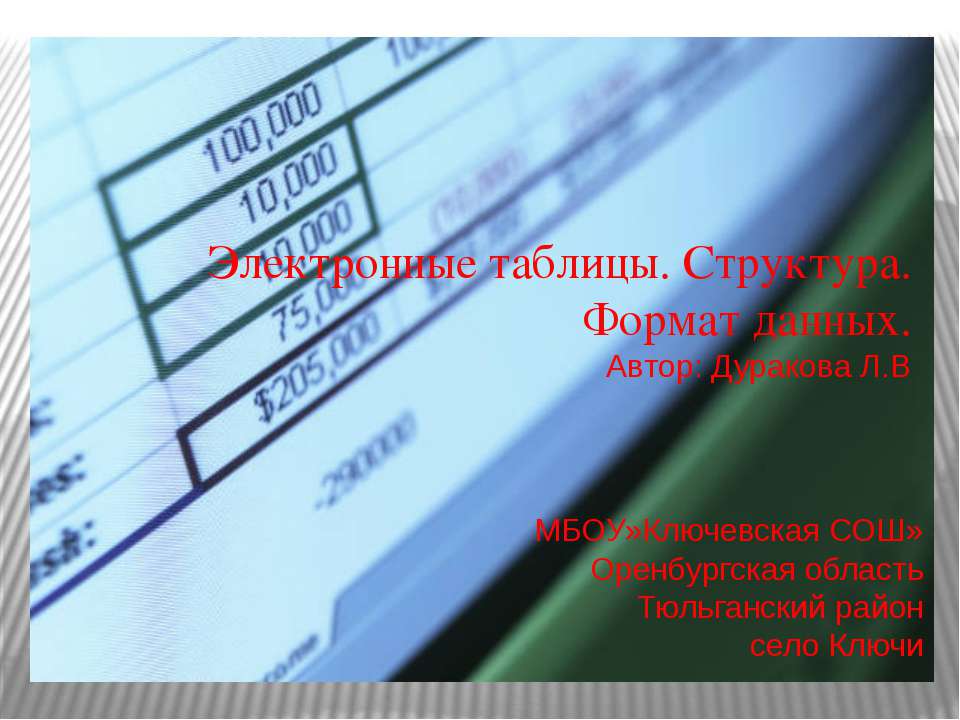 Электронные таблицы. Структура. Формат данных
