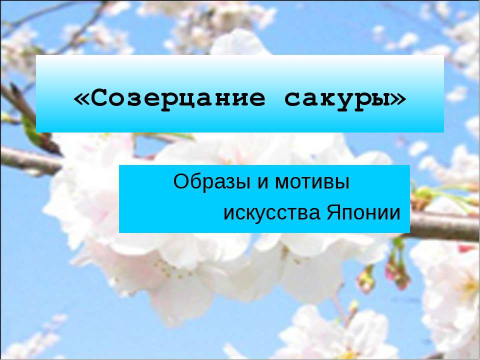 Созерцание сакуры