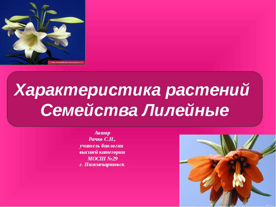 Характеристика растений. Семейства Лилейные